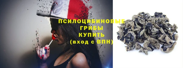 прущие крисы Абинск