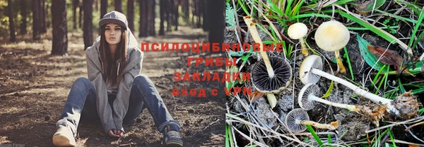 прущие крисы Абинск