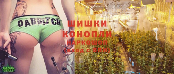 сатива Абаза