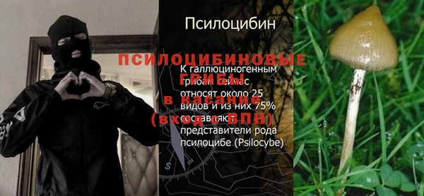 сатива Абаза