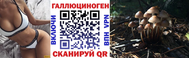 Псилоцибиновые грибы прущие грибы где продают наркотики Грозный